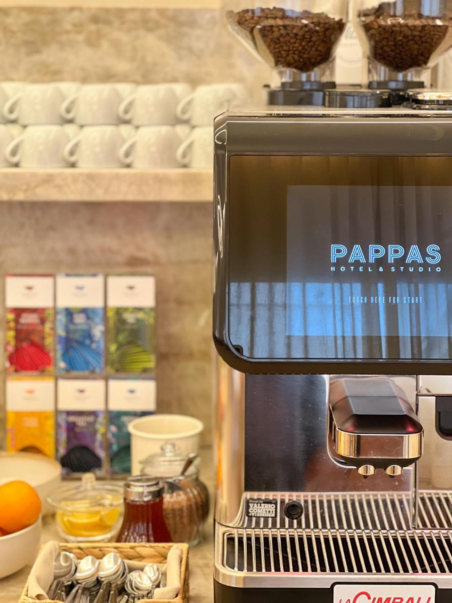 Pappas Hotel&Studio Podebrady Ngoại thất bức ảnh